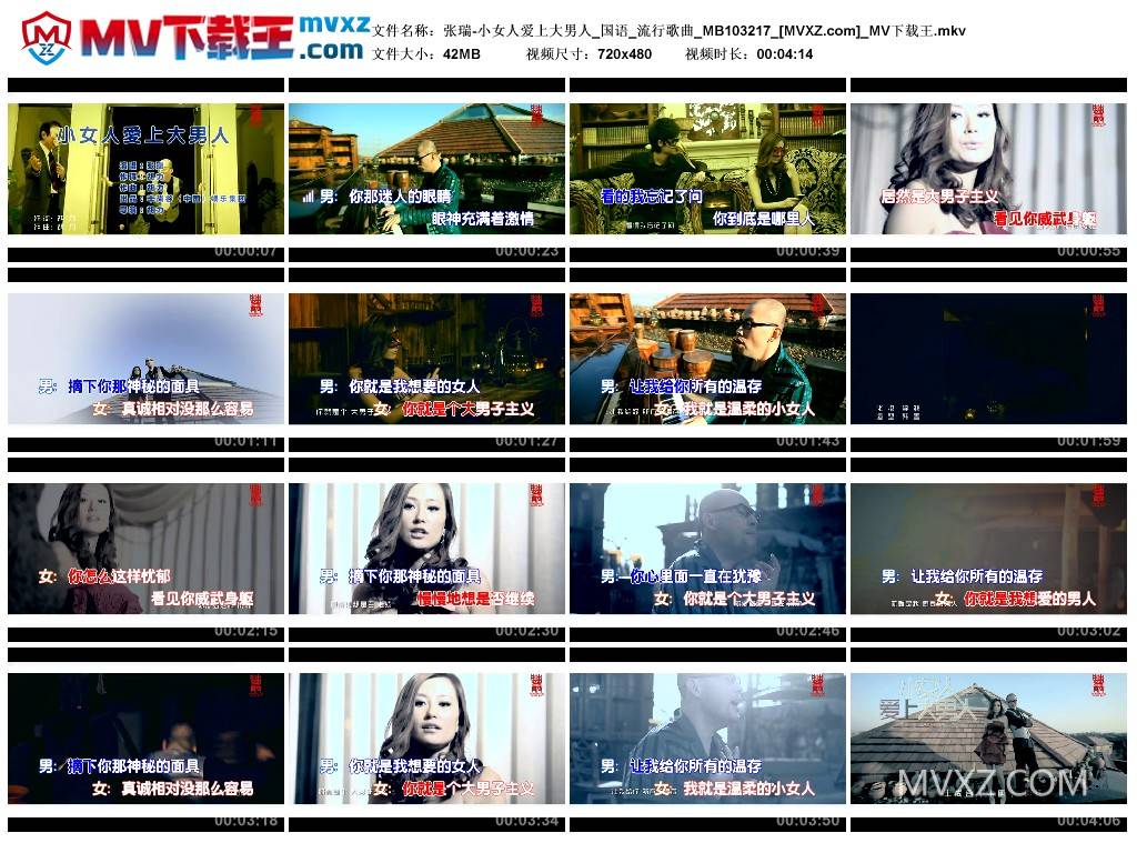 张瑞-小女人爱上大男人_国语_流行歌曲_MB103217